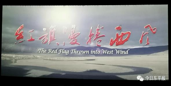 犀牛森林大逃生
